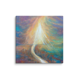20x20
