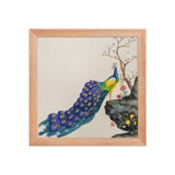 Radiant Mind - Energy Art by Yesang Lee - Framed Paper Print