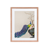 Radiant Mind - Energy Art by Yesang Lee - Framed Paper Print with Mat