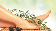 Solar Body Herbal Foot Patch: The Simple Way to Detox While You Sleep!