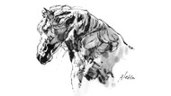 New Collection: Horse Art by Al Choi