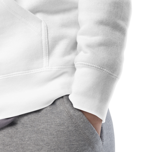 DRAGON Unisex Premium Pullover Hoodie Energy Art by Ilchi Lee