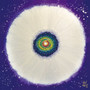 Jisu Han Energy Art Flower of the Universe #10