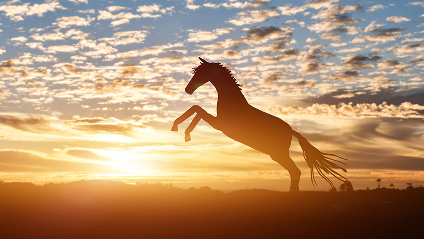 The Meaning of the Year of the Fire Horse, 2026