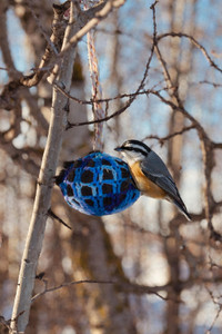 Alpaca Nesting Balls