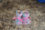 Baby Booties
