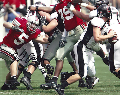 Mike D'Andrea OSU 8-3 8x10 Autographed Photo - Certified Authentic