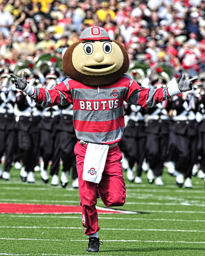 Brutus Buckeye Ohio State Buckeyes Licensed Unsigned Photo (6)