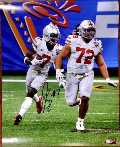 Sevyn Banks Ohio State Buckeyes 16-1 16x20 Autographed Signed Photo - JSA