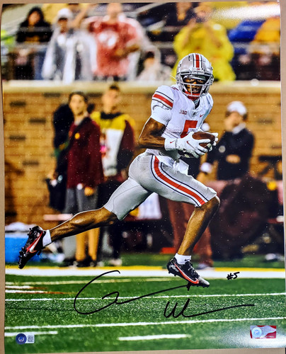 Garrett Wilson Ohio State Buckeyes 16-1 16x20 Autographed Signed Photo - Beckett Authentic