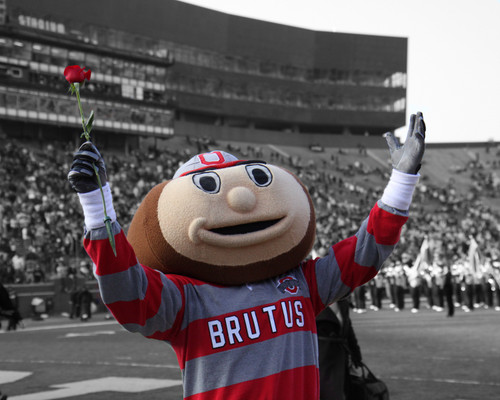 Brutus Buckeye Ohio State Buckeyes Licensed Unsigned Photo (9)