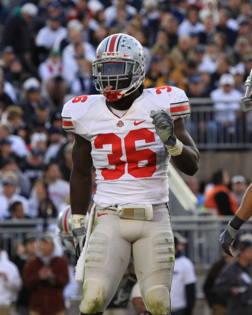 Brian Rolle Ohio State Buckeyes Licensed Unsigned Photo