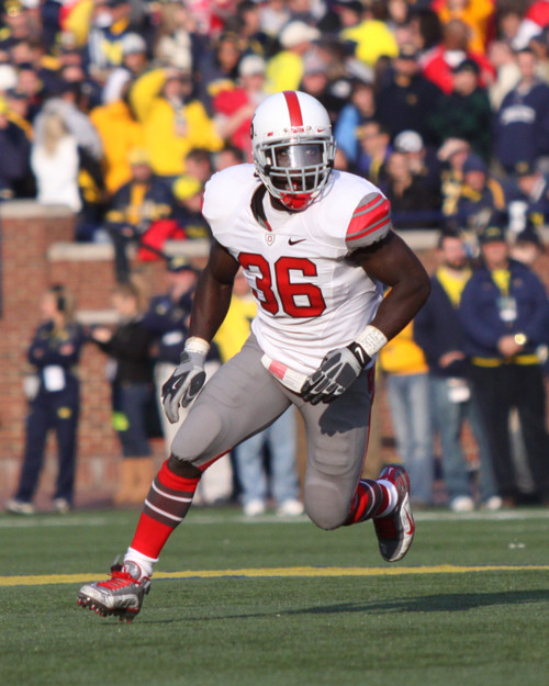 Brian Rolle Ohio State Buckeyes Licensed Unsigned Photo (3)