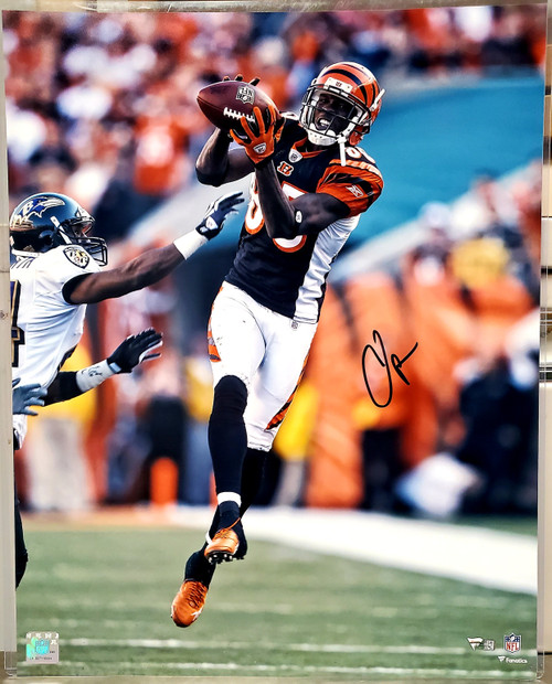 Chad Johnson Cincinnati Bengals 16x20 16-1 Autographed Photo - Fanatics Authentic