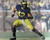 Chris Wormley Michigan Wolverines 16-1 16x20 Autographed Signed Photo - Certified Authentic