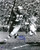 Hopalong Cassady OSU 16-12 16x20 Autographed Signed Photo - Certified Authentic