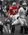 James Laurinaitis Ohio State Buckeyes Licensed Unsigned Photo (10)