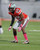 Tyvis Powell Ohio State Buckeyes Licensed Unsigned Photo (3)