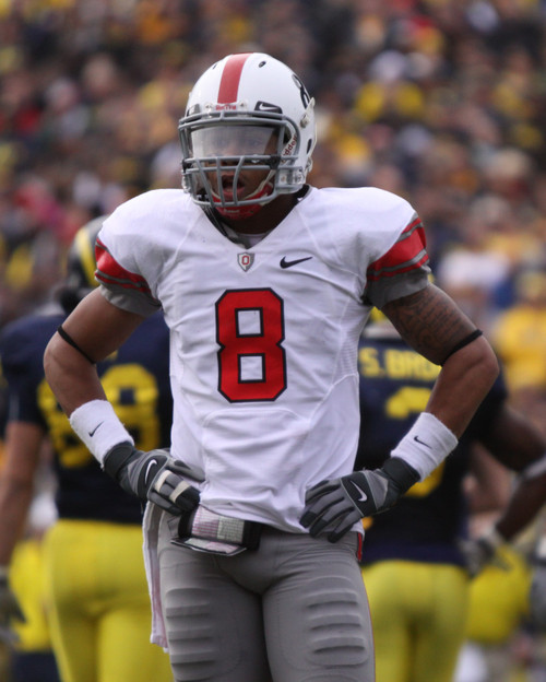 DeVier Posey Ohio State Buckeyes Licensed Unsigned Photo (4)