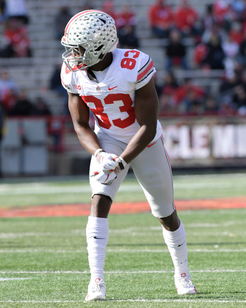 Terry McLaurin Ohio State Buckeyes Licensed Unsigned Photo