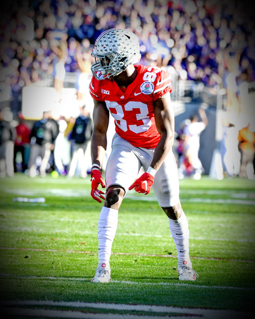 Terry McLaurin Ohio State Buckeyes Licensed Unsigned Photo