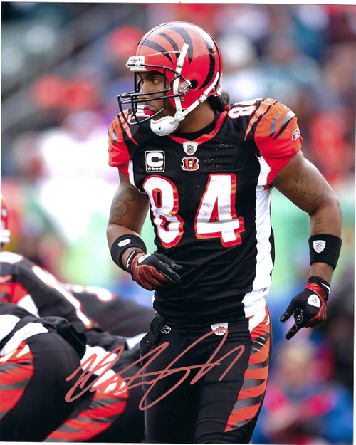 Trey Hendrickson Cincinnati Bengals 8x10 8-1 Autographed Signed Photo - JSA  Authentic