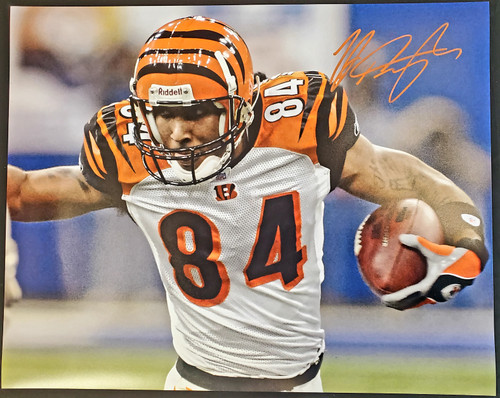 Cincinnati bengals, Oakland raiders, Tj houshmandzadeh