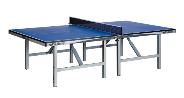 Butterfly Europa 25 Stationary Table Tennis Table