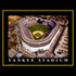 YANKEE STADIUM NEON LED PICTURE