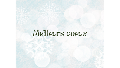 Carte de Noel personnalisée avec votre logo # 7234