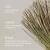 Diffuseur portatifs de Soya & Co # 7649