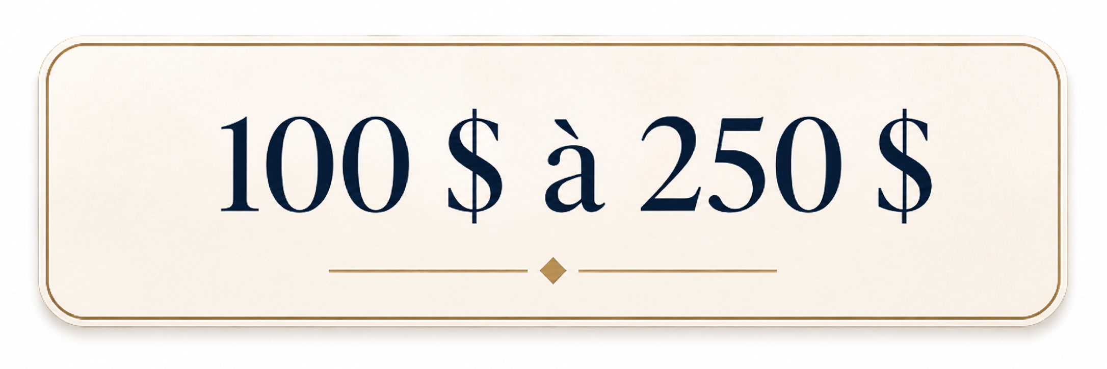 cadeaux-corporatifs-100-a-250-dollars