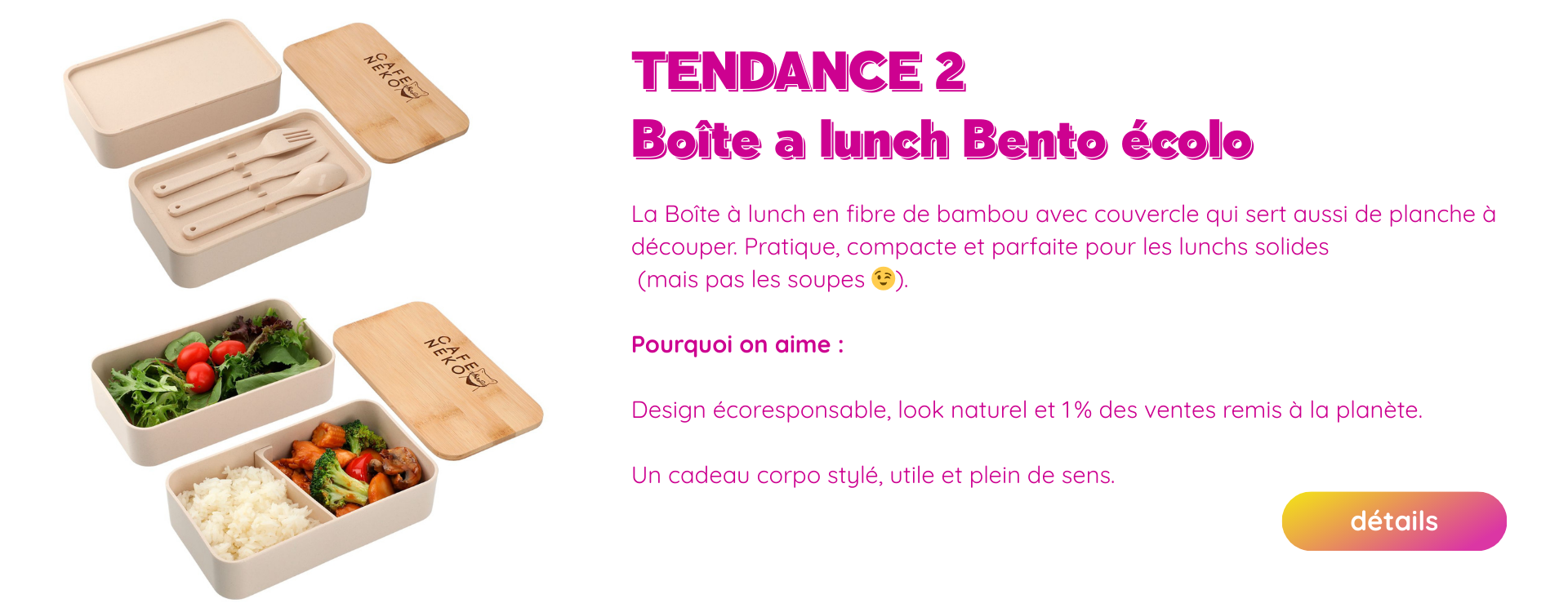 TOP TENDANCE BOITE A LUNCH BENTO