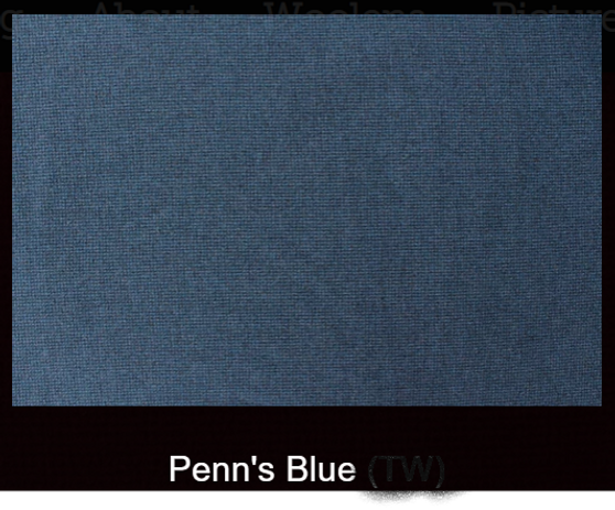 Penn's Blue Woolen Fabric