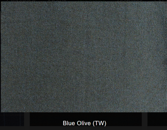 Blue Olive Woolen Fabric