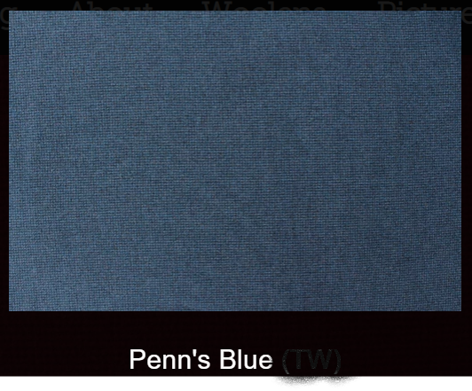 Penn's Blue Woolen Fabric