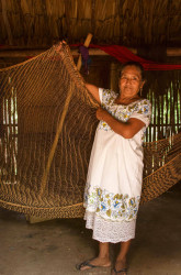 Maya Artists of the Yucatan