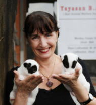 Bali Animal Welfare Association