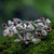 Sterling Silver and Garnet Cocktail RIng 'Garnet Forest' Sterling Silver and Garnet Cocktail RIng 'Garnet Forest'