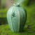 Handcrafted Ceramic Vase with Leaves and Frog 'Frangipani Frog'