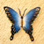 Unique Blue Butterfly Steel Wall Sculpture Mexico 'Soul of Harmony' Unique Blue Butterfly Steel Wall Sculpture Mexico 'Soul of Harmony'