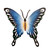Unique Blue Butterfly Steel Wall Sculpture Mexico 'Soul of Harmony' Unique Blue Butterfly Steel Wall Sculpture Mexico 'Soul of Harmony'