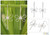 Sterling Silver Dangle Earrings 'Dragonfly Beauty' Sterling Silver Dangle Earrings 'Dragonfly Beauty'