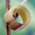 Men's Unique Horn Band Ring 'Eagle Essence' Men's Unique Horn Band Ring 'Eagle Essence'