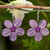 Handmade Purple Quartz Flower Earrings 'Lilac Chang Mai Flower' Handmade Purple Quartz Flower Earrings 'Lilac Chang Mai Flower'