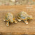 Thai Ceramic Turtle Figurines in Brown-Green (Pair) 'Resilient Turtles'