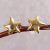 Petite Sterling Silver Star Earrings Bathed in 18k Gold 'Shining Star' Petite Sterling Silver Star Earrings Bathed in 18k Gold 'Shining Star'