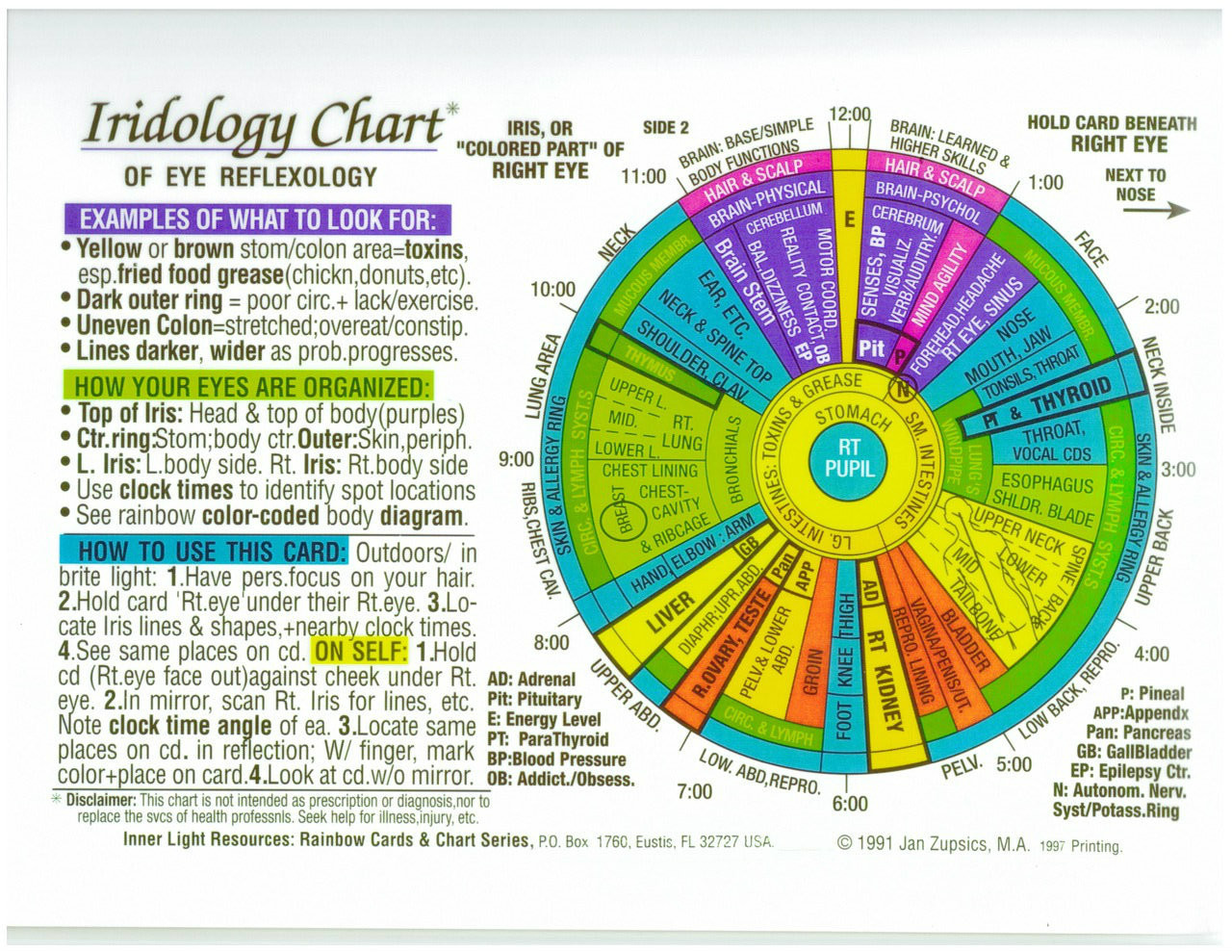 Iridology Chart