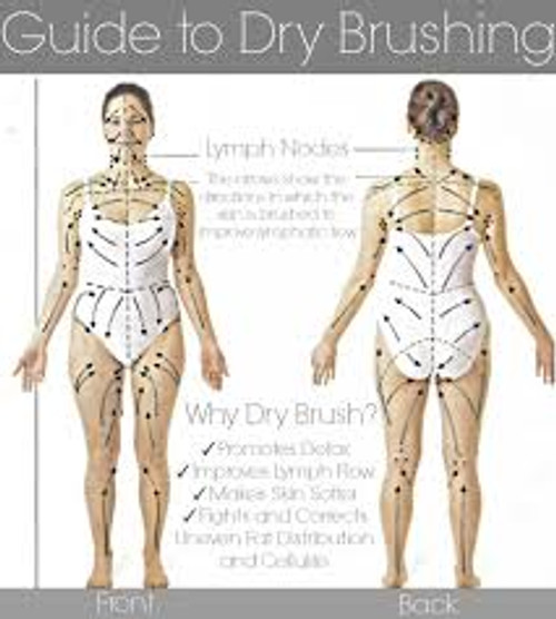 What Is Dry Brushing? A Guide to Ayurvedic Exfoliation