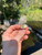 Natural Ring